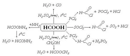 Acid formic Chimie