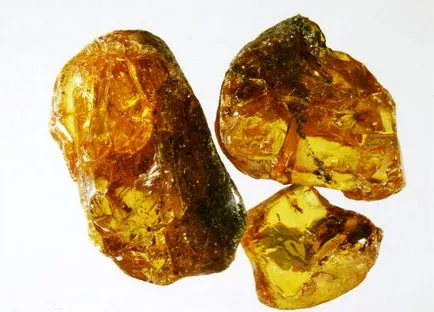 Amber típusok, történelem, bányászat (24 fotó)