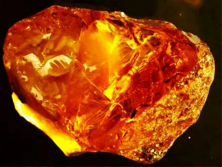Amber típusok, történelem, bányászat (24 fotó)