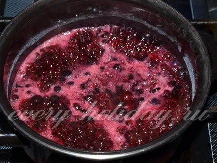 Berry mousse Reteta coacăze negre cu grisul