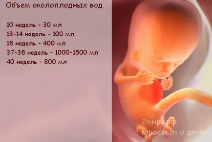 Стомашни в първата седмица на бременността снимки, първи 1 седмица от бременността
