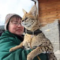 Zoo Kazan (Kazan, România) - inoformatsiya, știri, operarea, schema, prețul biletelor