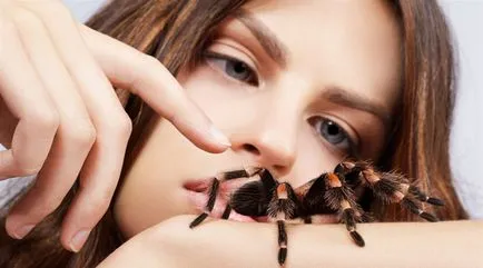 Miért álmodom pókok