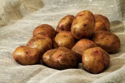 Картофи - Svitanok Киев описание на сорта, подробно описание и снимка на картофи