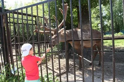 Казан Фото Zoo, цени, режим на работа и интересни факти