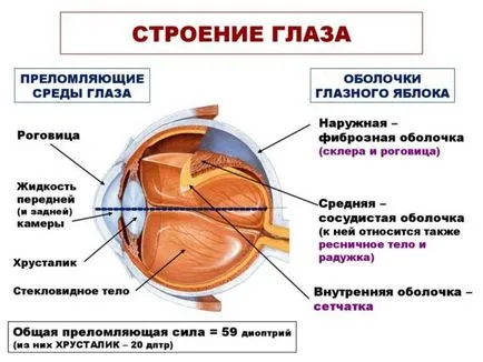 Катаракта и глаукома, че е особено лечението разлика