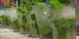 Cocktail-uri cu rom alb - rețete de gătit în mediul de origine video, nalivali