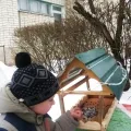 Az absztrakt a tematikus osztályok madarak