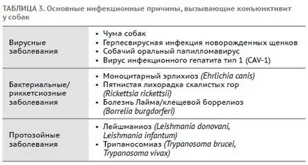 Конюнктивит в Кучета