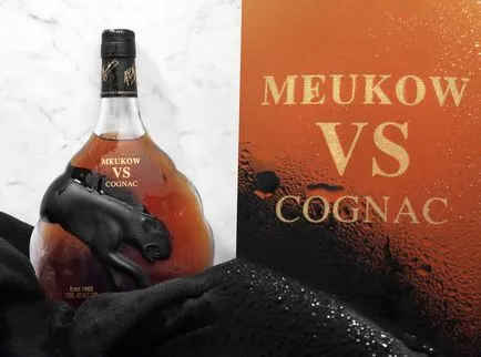 Cognac meukow - leírását, árát és felülvizsgálat
