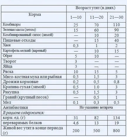 Hrănirea rațe - decât pentru a hrăni mici rață, ferma acasă