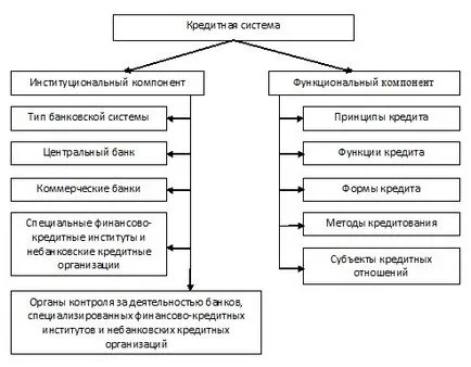 Structura entitate Sistemul de credite