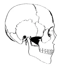 Птеригоидални мускули (болки в бузата пред ухото, челюстта кликвания)