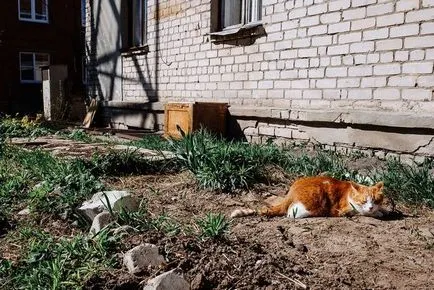 Cine și cum să prezică meteo