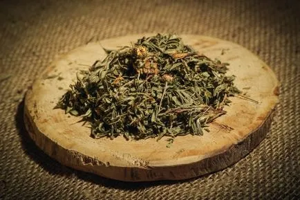 Kuril tea - a gyógyító erő és hatása a szervezetre