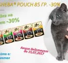 Деликатеси за кучета pedigree® доклад тест Дента Stix ™ ветеринарните лекари - домашен любимец KBr грижи