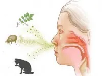 Allergiás rhinitis kezelése gyakorlati tanácsok