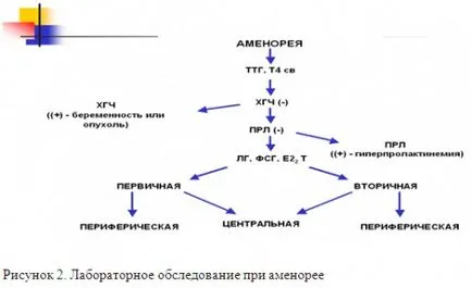 Diagnosticul de laborator al tulburărilor de reproducere