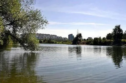 Tájpark Mitino történelem az a hely, hogy van, hogy és hogyan lehet