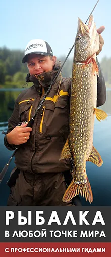 Pike halászat a tavasz, nyár, ősz, tél, mikor és mit kell csukát