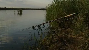 шаран оборудване за риболов на пролетни пръти, на пружина