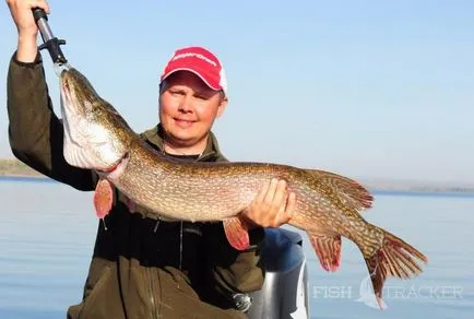 Pike halászat a tavasz, nyár, ősz, tél, mikor és mit kell csukát