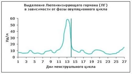 Лутеинизиращ хормон норма х понижи, модернизирани при жените