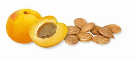 Satsuma soiuri de mandarine - proprietăți utile, valoarea nutritivă, beneficii și daune