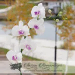 Master Class „Phalaenopsis Orchid» - saison romantique - színek a polimer agyag