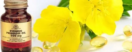 proprietăți și aplicații petroliere Evening Primrose, beneficiile si dauneaza