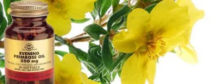 proprietăți și aplicații petroliere Evening Primrose, beneficiile si dauneaza