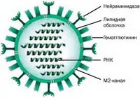 Медикаментозно лечение на грип