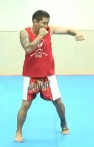 Side punch