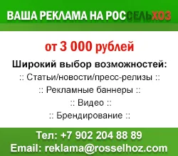 Бременност и агнетата кози - чифтосване, симптоми на бременност, за грижа на козела, преди и след раждане