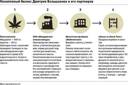 Fostul viceprim-ministru al regiunii Moscova a devenit cel mai mare producător de canabis