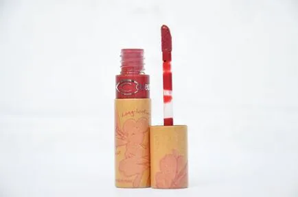 Lip Gloss Couleur caramel - 829 (boabe-roșu) 💄 ~ discuțiile de acoperiș