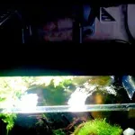 Olcsó LED akváriumi akvachaynika jegyzetek