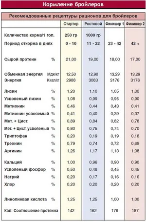 Бройлери Cobb 500 описание, култивиране, ревюта, цена, картина