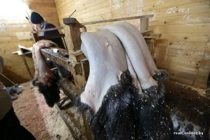 Private piei ca o fermă de blană recoltate de la animale moarte - Vegan