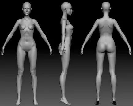 Poate atinge · modele de creare a BJD (papusa-ball dinti) în 3d-software pentru realizarea de prototipuri