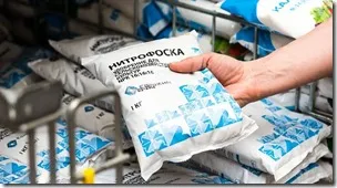 Mărul de alimentare în timpul coacerii fructelor în copaci fertilizatoare vara de mere în timpul fructoase