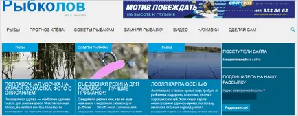 Ceea ce este diferit de site-ul blogului