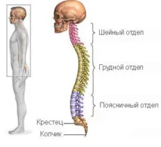 medicamente Cosudorasshiryayuschie în osteocondrozei a gâtului - comentarii pacient