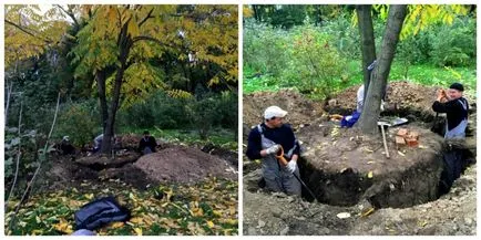 Fák, nagy méretű - jobb Ásó, ültetés és gondozás, egy virágágyás ()