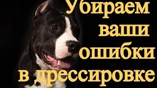 Kutyakiképzés az Isztrián 8 ajánlatok, ár, kutya képzés iskola, képzés vadászat