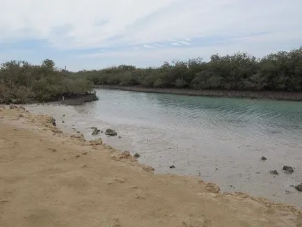 Excursie la Ras Mohammed Park