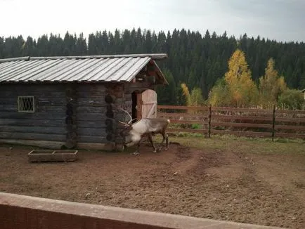 Атракции село Khokhlovka (област Перм)