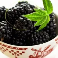 Descrierea Blackberry Agawam, plantare și îngrijire de grad