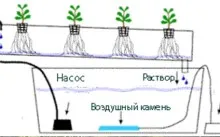 Hydroponics - a zöldek otthon, hogyan lehet a rendszert a saját kezét, az érvek és ellenérvek, video