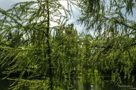 Gatchina Park Museum-Preserve Gatchina, București